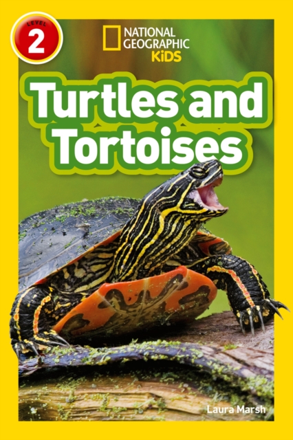 Turtles and Tortoises : Level 2, Paperback / softback Book