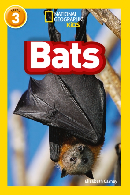 Bats : Level 3, Paperback / softback Book