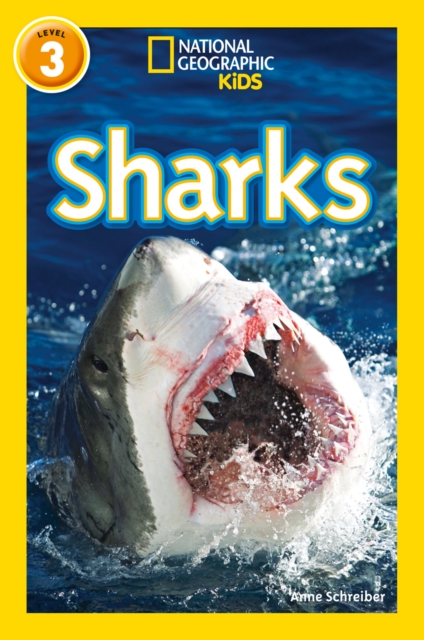 Sharks : Level 3, Paperback / softback Book