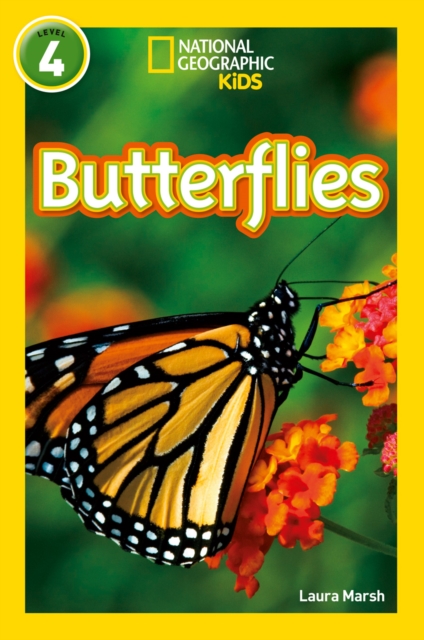 Butterflies : Level 4, Paperback / softback Book