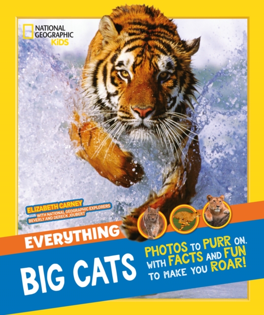 Everything: Big Cats, Paperback / softback Book