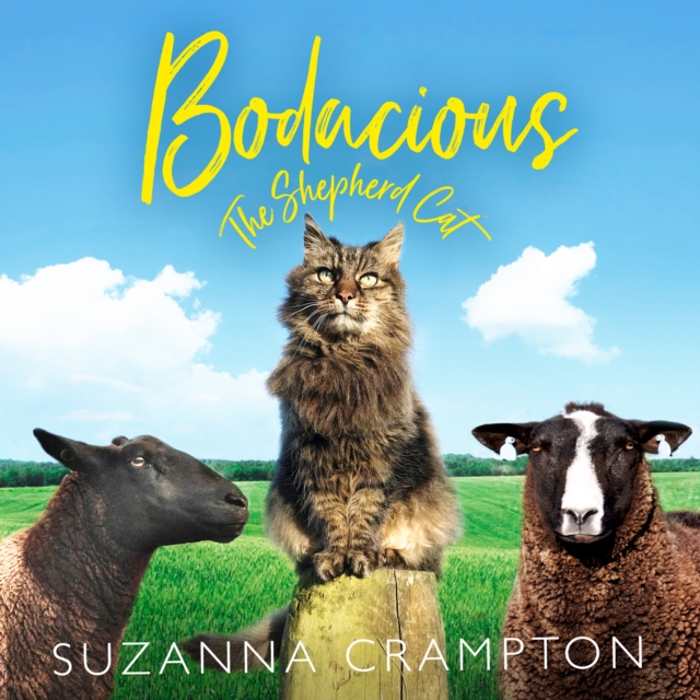Bodacious: The Shepherd Cat, eAudiobook MP3 eaudioBook