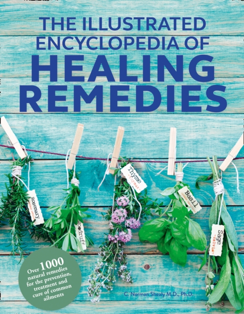 Healing Remedies, Updated Edition : Over 1,000 Natural Remedies for the Prevention, Treatment, and Cure of Common Ailments and Conditions, Paperback / softback Book