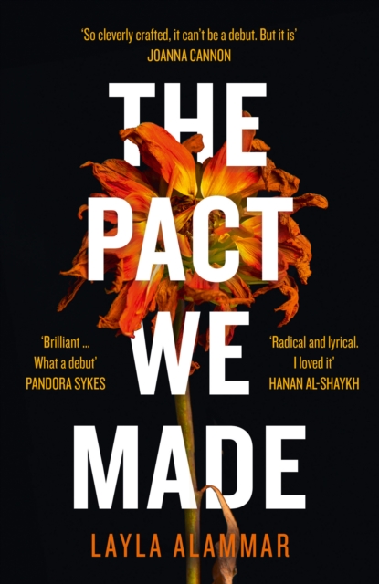 The Pact We Made, EPUB eBook
