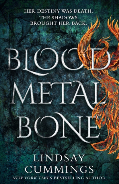 Blood Metal Bone, EPUB eBook