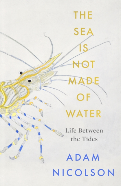 the sea is not made of water : Life Between the Tides, Hardback Book