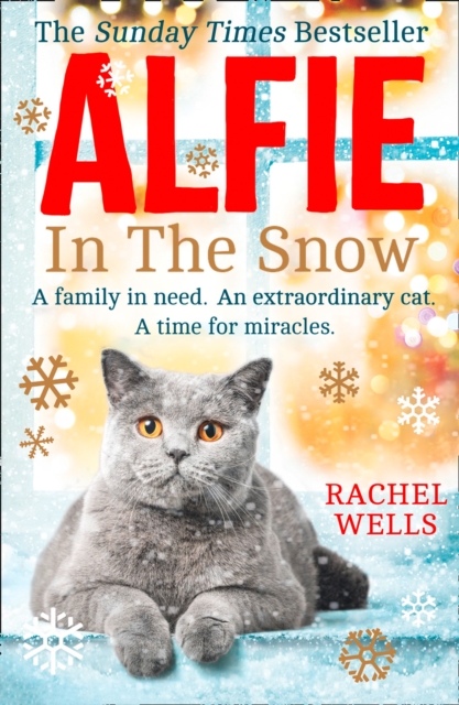 Alfie in the Snow, Hardback Book