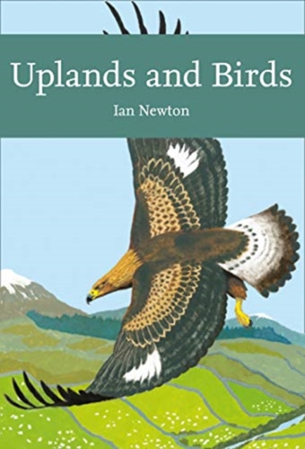 Uplands and Birds, Paperback / softback Book