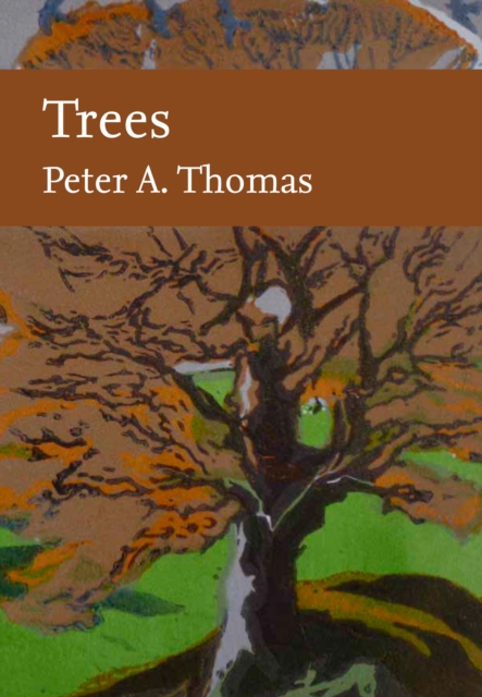 Trees, Hardback Book