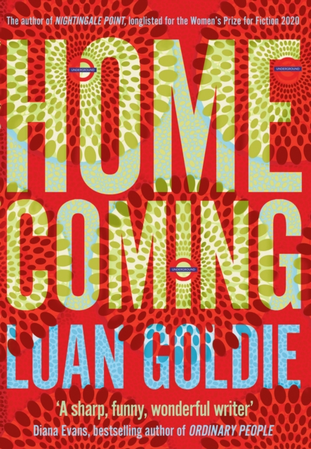 Homecoming, Hardback Book