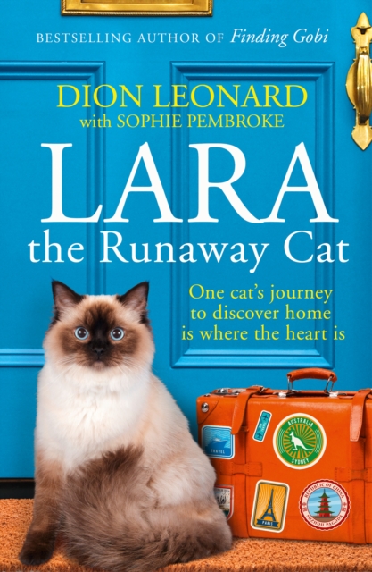 Lara The Runaway Cat : One Cat’s Journey to Discover Home is Where the Heart is, Paperback / softback Book