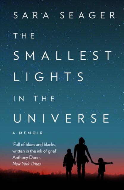 The Smallest Lights In The Universe, EPUB eBook