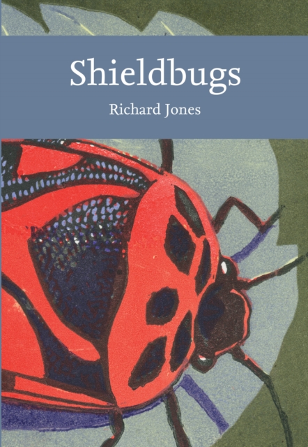 Shieldbugs, Paperback / softback Book