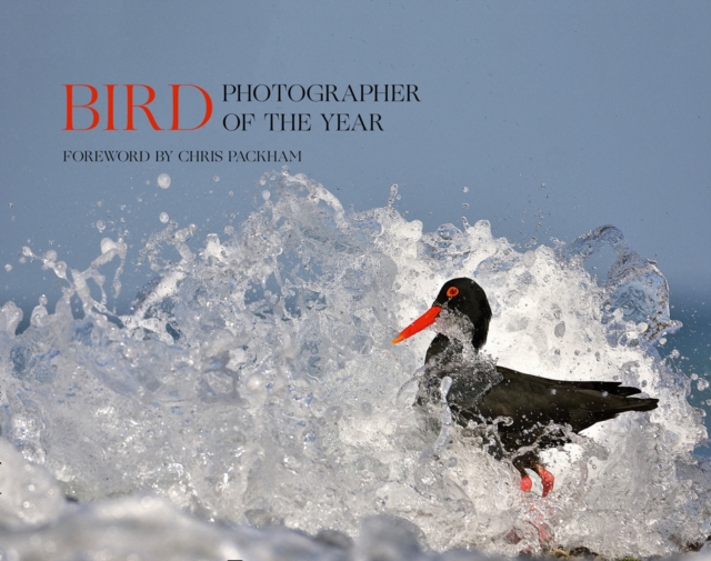 Bird Photographer of the Year : Collection 5, Hardback Book
