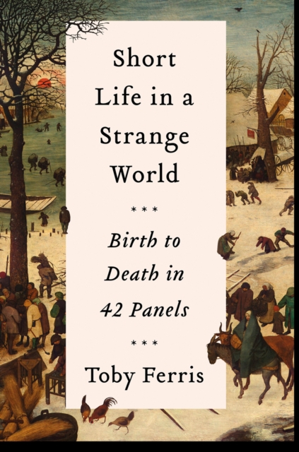 Short Life in a Strange World : Birth to Death in 42 Panels, Hardback Book