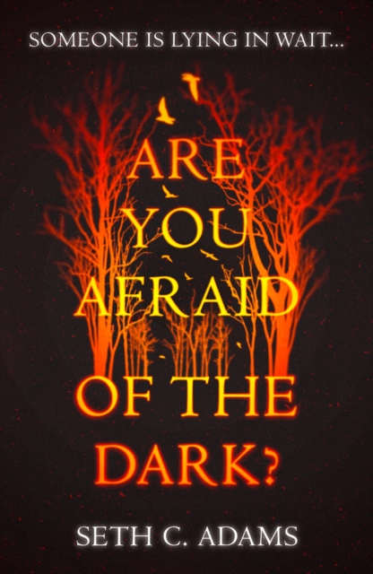 Are You Afraid of the Dark?, Paperback / softback Book