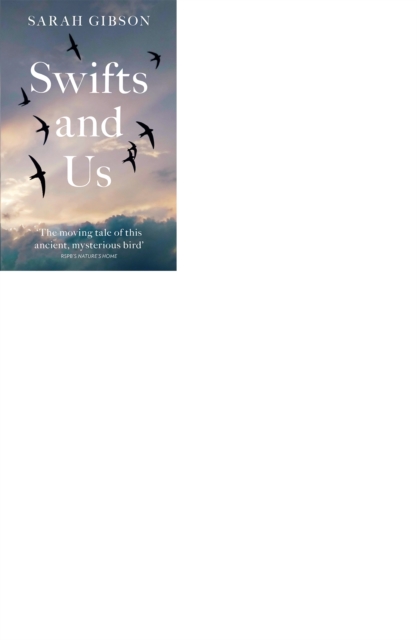 Swifts and Us : The Life of the Bird That Sleeps in the Sky, EPUB eBook