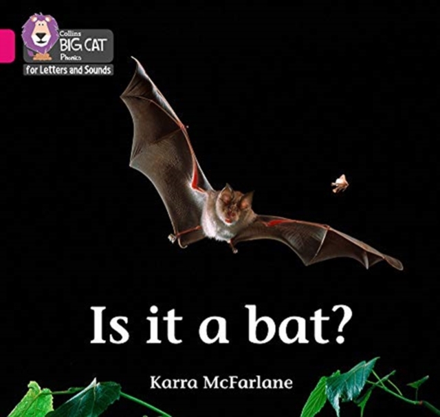 Is it a Bat? : Band 01b/Pink B, Paperback / softback Book