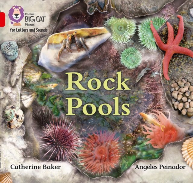 Rock Pools : Band 02b/Red B, Paperback / softback Book