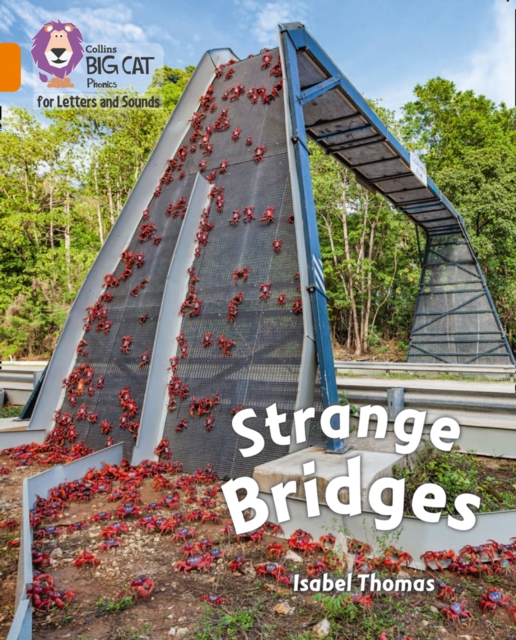Strange Bridges : Band 06/Orange, Paperback / softback Book