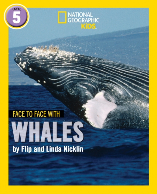 Face to Face with Whales : Level 5, Paperback / softback Book