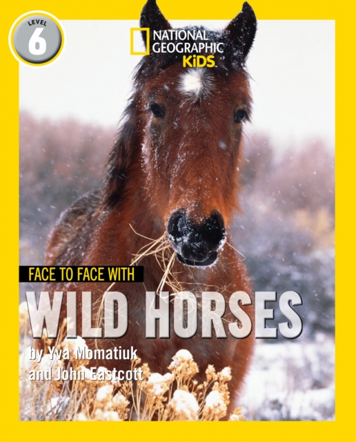 Face to Face with Wild Horses : Level 6, Paperback / softback Book