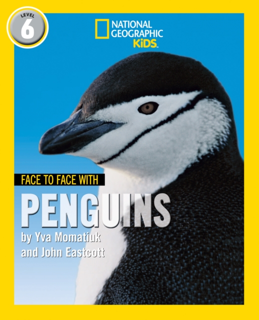 Face to Face with Penguins : Level 6, Paperback / softback Book