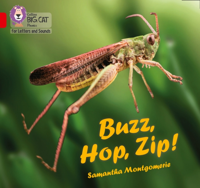 Buzz, Hop, Zip! : Band 02a/Red a, Paperback / softback Book