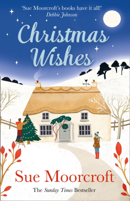 Christmas Wishes, Paperback / softback Book