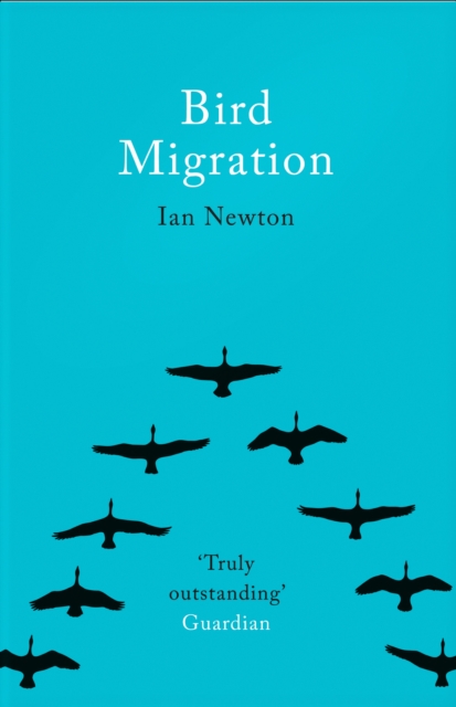 Bird Migration, Paperback / softback Book
