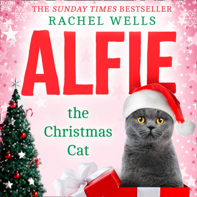 Alfie the Christmas Cat, eAudiobook MP3 eaudioBook