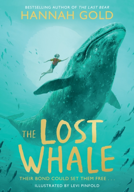 The Lost Whale, Hardback Book