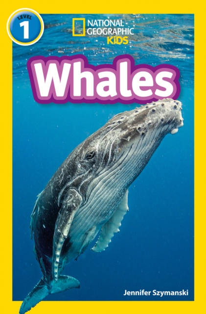 Whales : Level 1, Paperback / softback Book