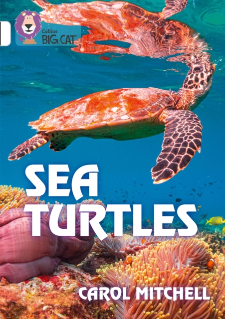 Sea Turtles : Band 10/White, Paperback / softback Book