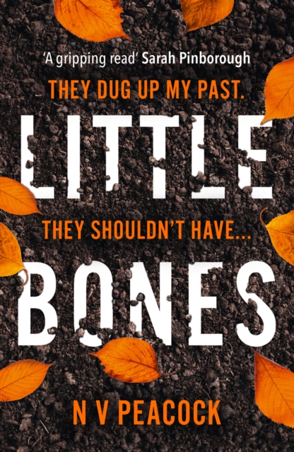 Little Bones, EPUB eBook