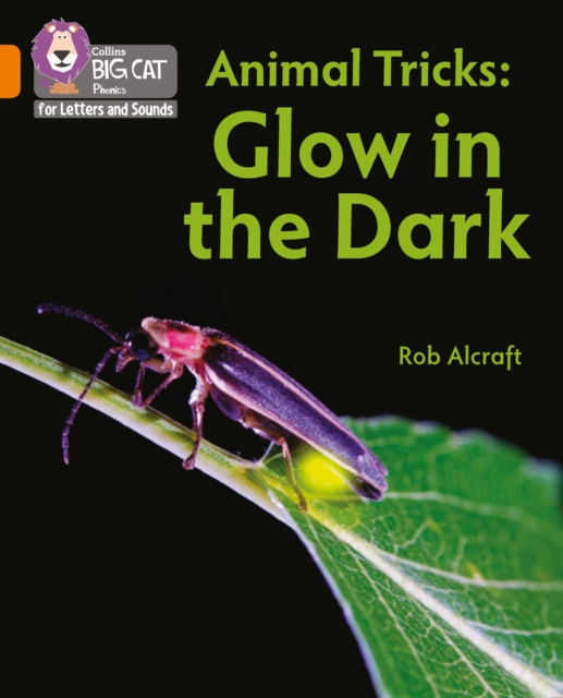 Animal Tricks: Glow in the Dark : Band 06/Orange, Paperback / softback Book