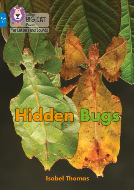 Hidden Bugs : Band 04/Blue, Paperback / softback Book
