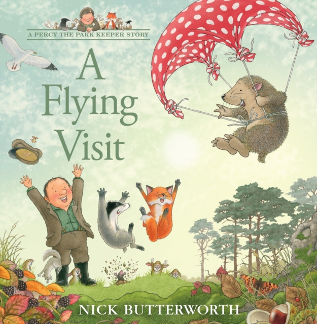 A Flying Visit, Paperback / softback Book