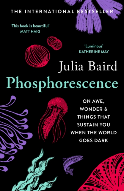 Phosphorescence : On Awe, Wonder & Things That Sustain You When the World Goes Dark, EPUB eBook