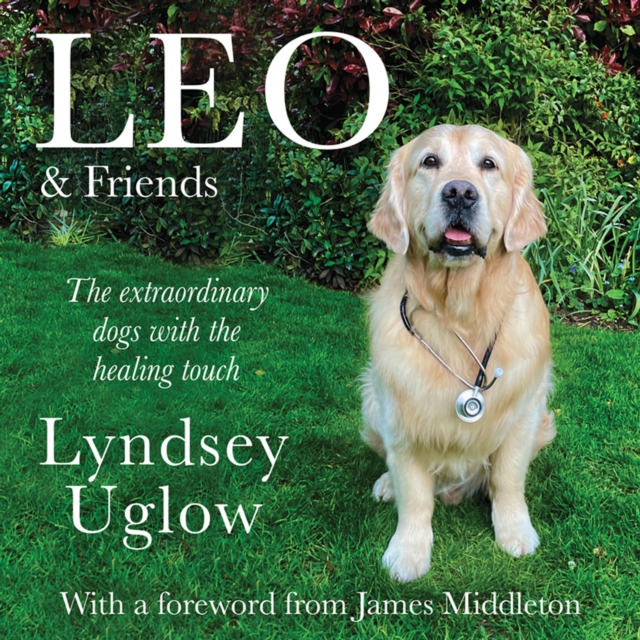 Leo & Friends : The Dogs with a Healing Touch, eAudiobook MP3 eaudioBook