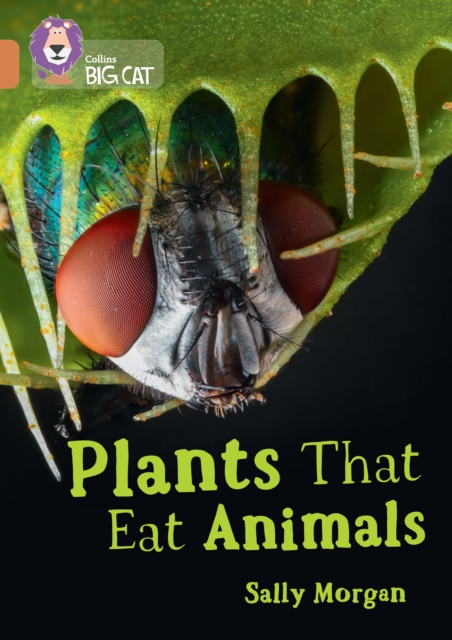 Plants that Eat Animals : Band 12/Copper, Paperback / softback Book