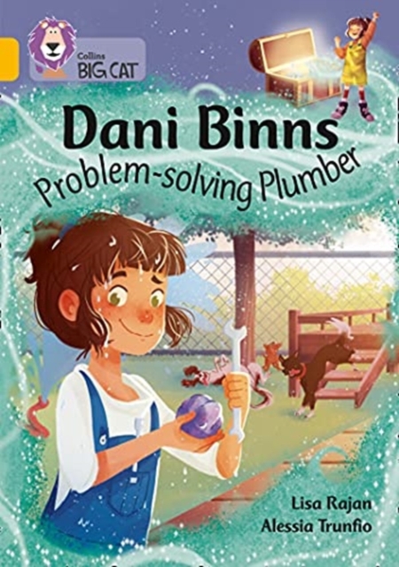 Dani Binns: Problem-solving Plumber : Band 09/Gold, Paperback / softback Book