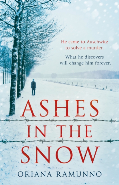 Ashes in the Snow, Hardback Book