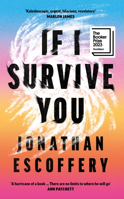 If I Survive You, Hardback Book