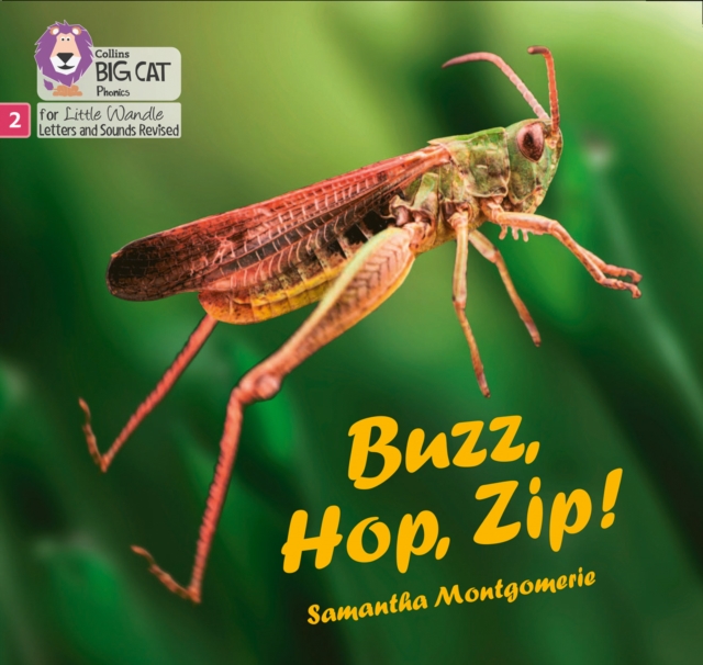 Buzz, Hop, Zip! : Phase 2 Set 5, Paperback / softback Book