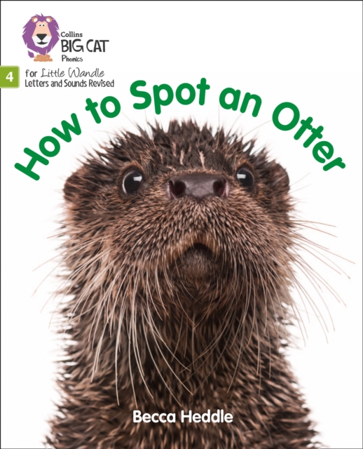 How to Spot an Otter : Phase 4 Set 2, Paperback / softback Book