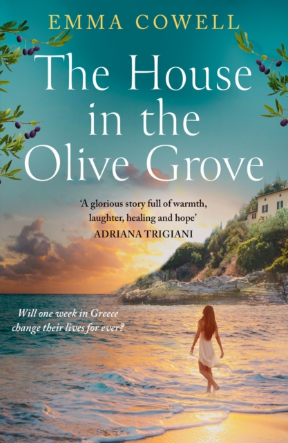 The House in the Olive Grove, Paperback / softback Book