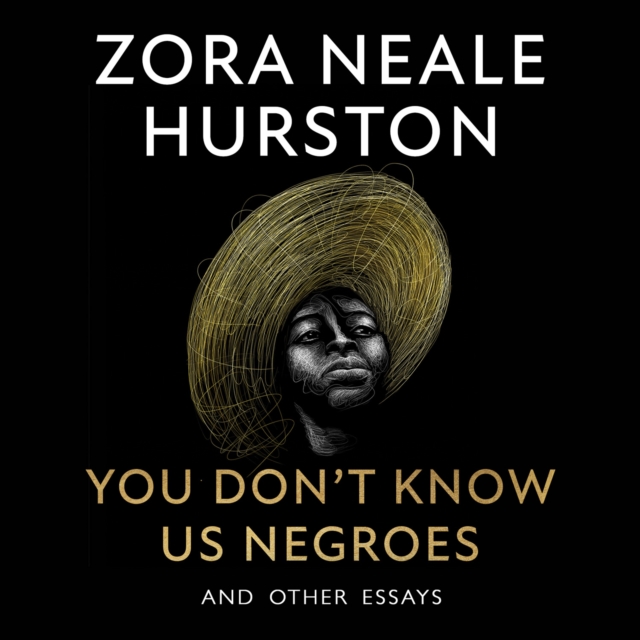 You Don’t Know Us Negroes and Other Essays, eAudiobook MP3 eaudioBook