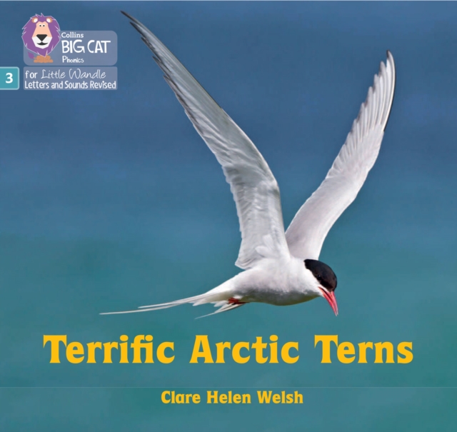 Terrific Arctic Terns : Phase 3 Set 2, Paperback / softback Book