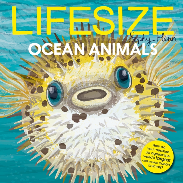 Lifesize Ocean Animals, Paperback / softback Book